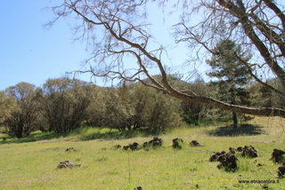 nte Egitto-29-04-2023 08-56-14